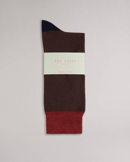 Sosete Barbati Ted Baker Tedtext Portocalii | RO-2895